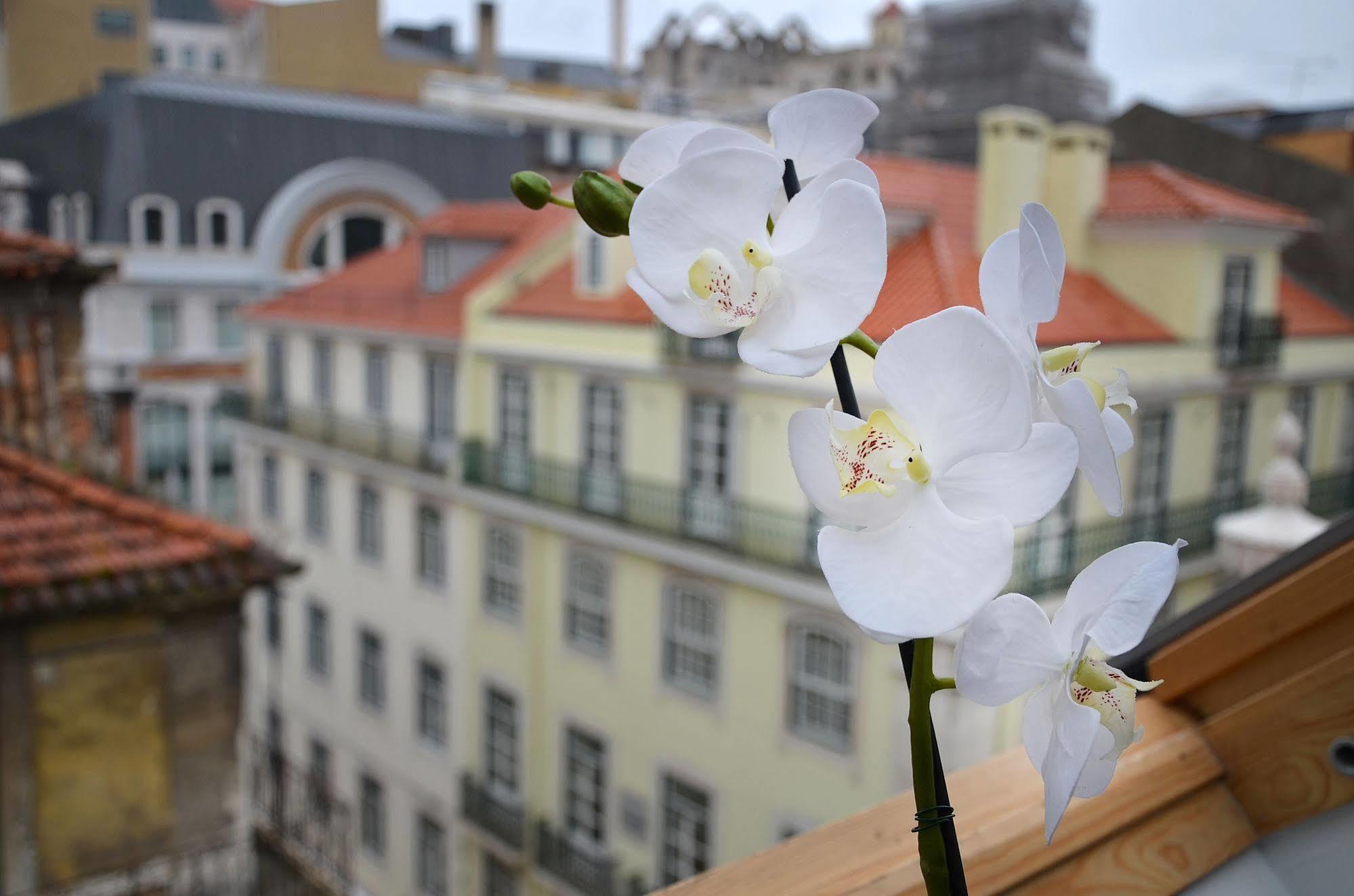 Browns Downtown Hotel Lisboa Екстериор снимка